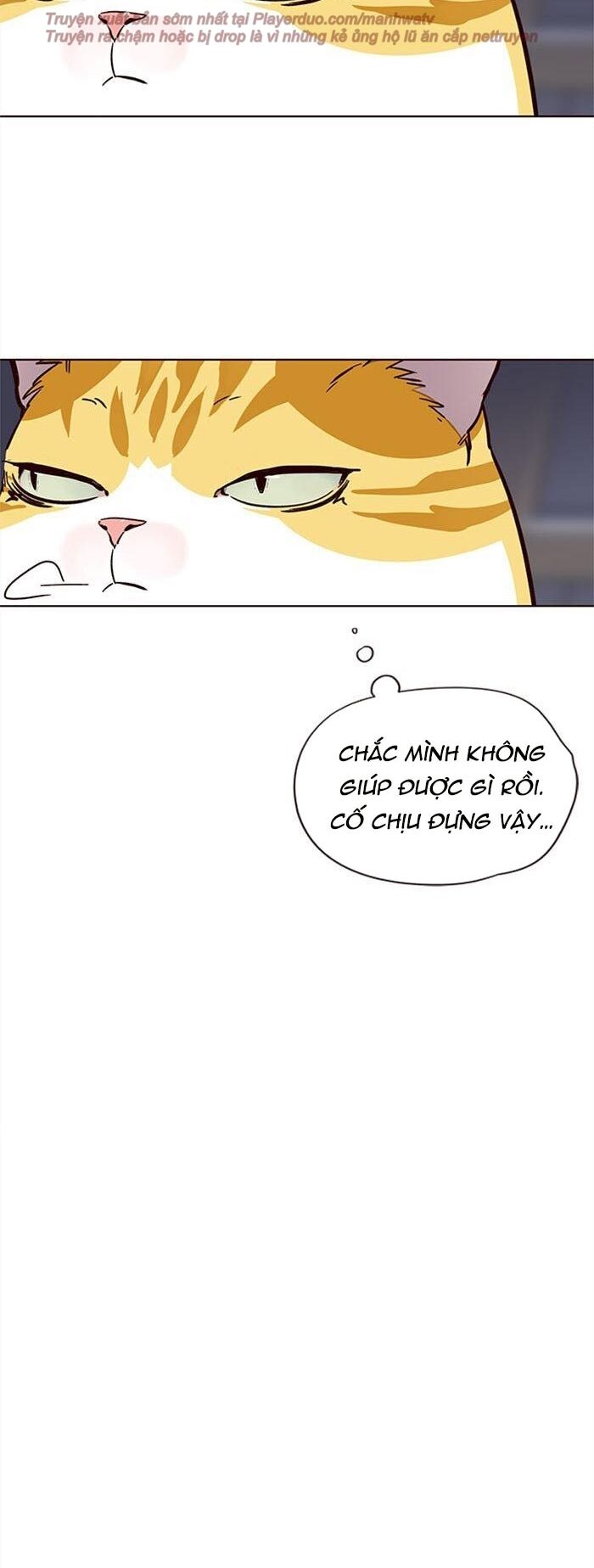 Hoá Thân Thành Mèo Chapter 35 - Trang 2