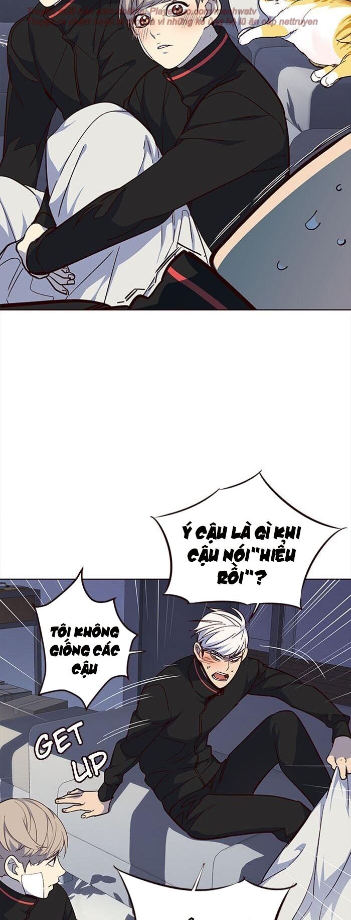 Hoá Thân Thành Mèo Chapter 35 - Trang 2