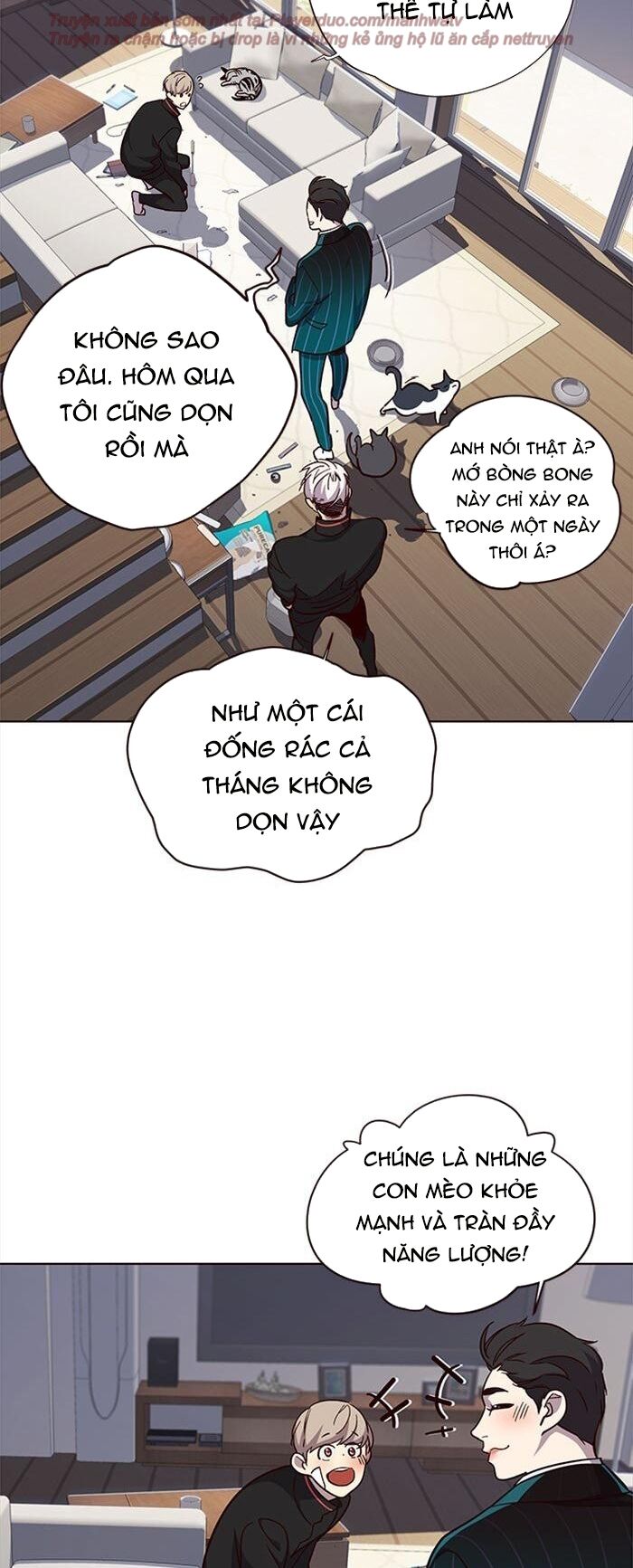 Hoá Thân Thành Mèo Chapter 35 - Trang 2