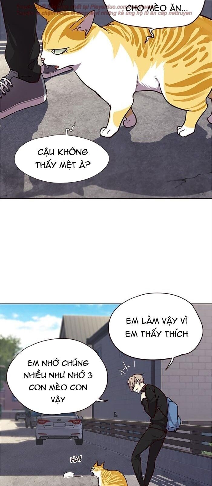 Hoá Thân Thành Mèo Chapter 36 - Trang 2