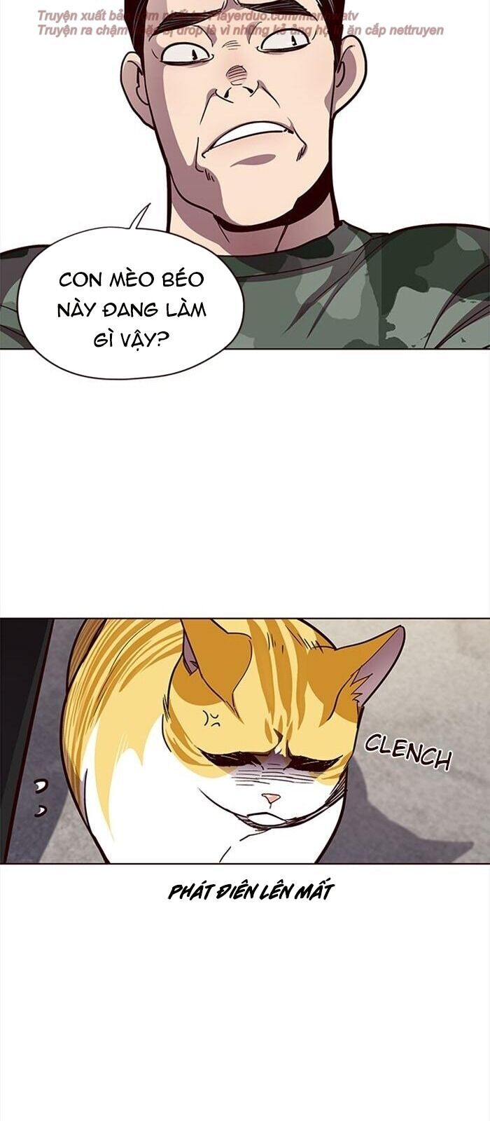 Hoá Thân Thành Mèo Chapter 36 - Trang 2