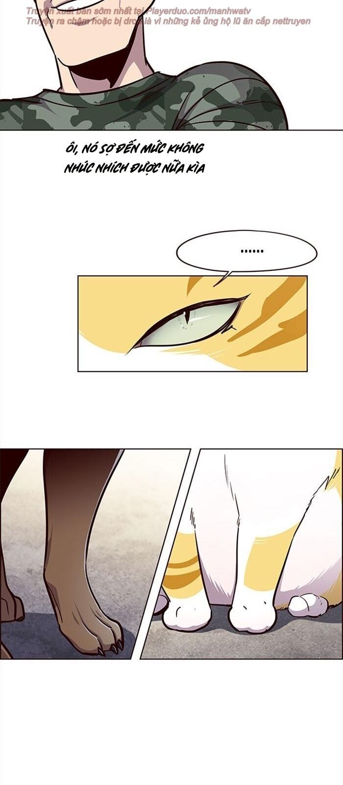 Hoá Thân Thành Mèo Chapter 36 - Trang 2