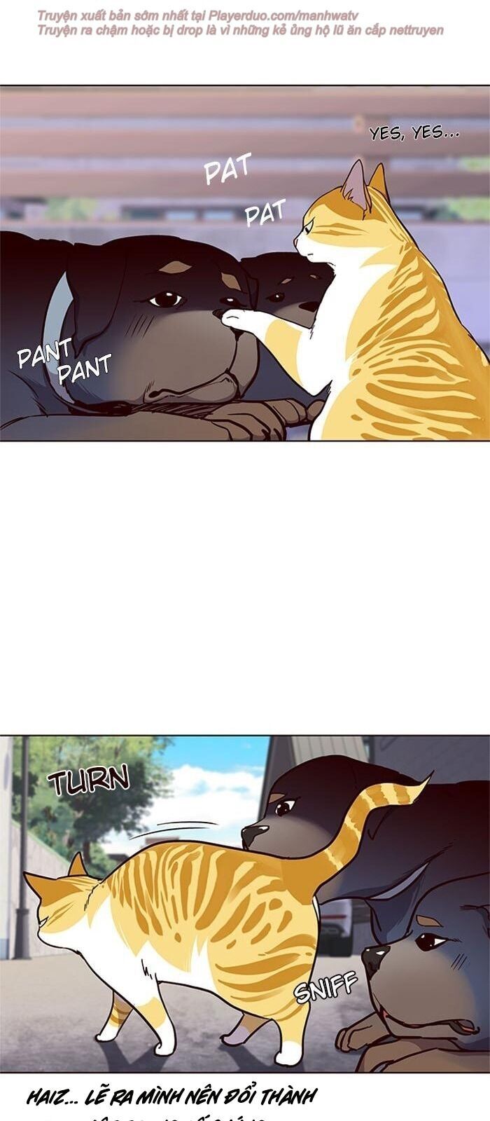 Hoá Thân Thành Mèo Chapter 36 - Trang 2