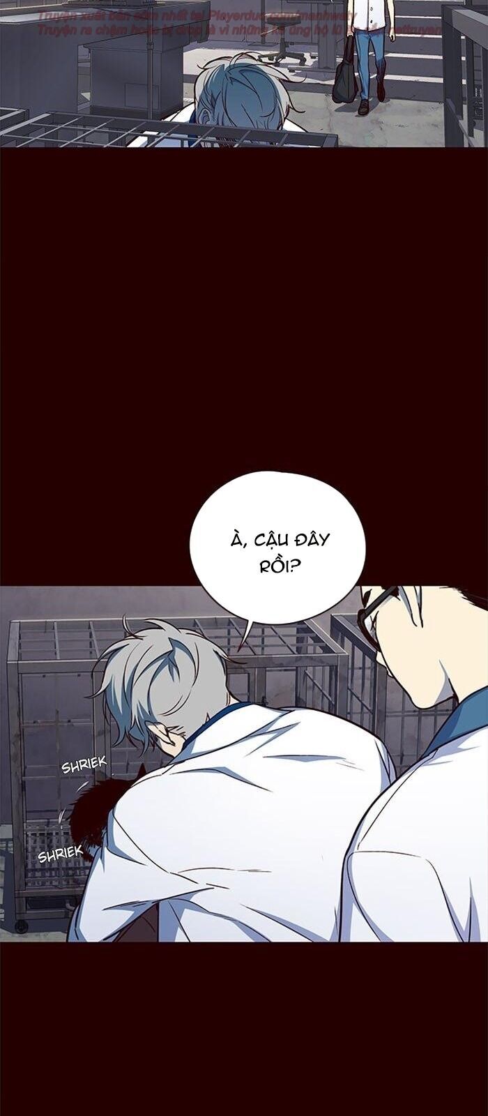 Hoá Thân Thành Mèo Chapter 36 - Trang 2