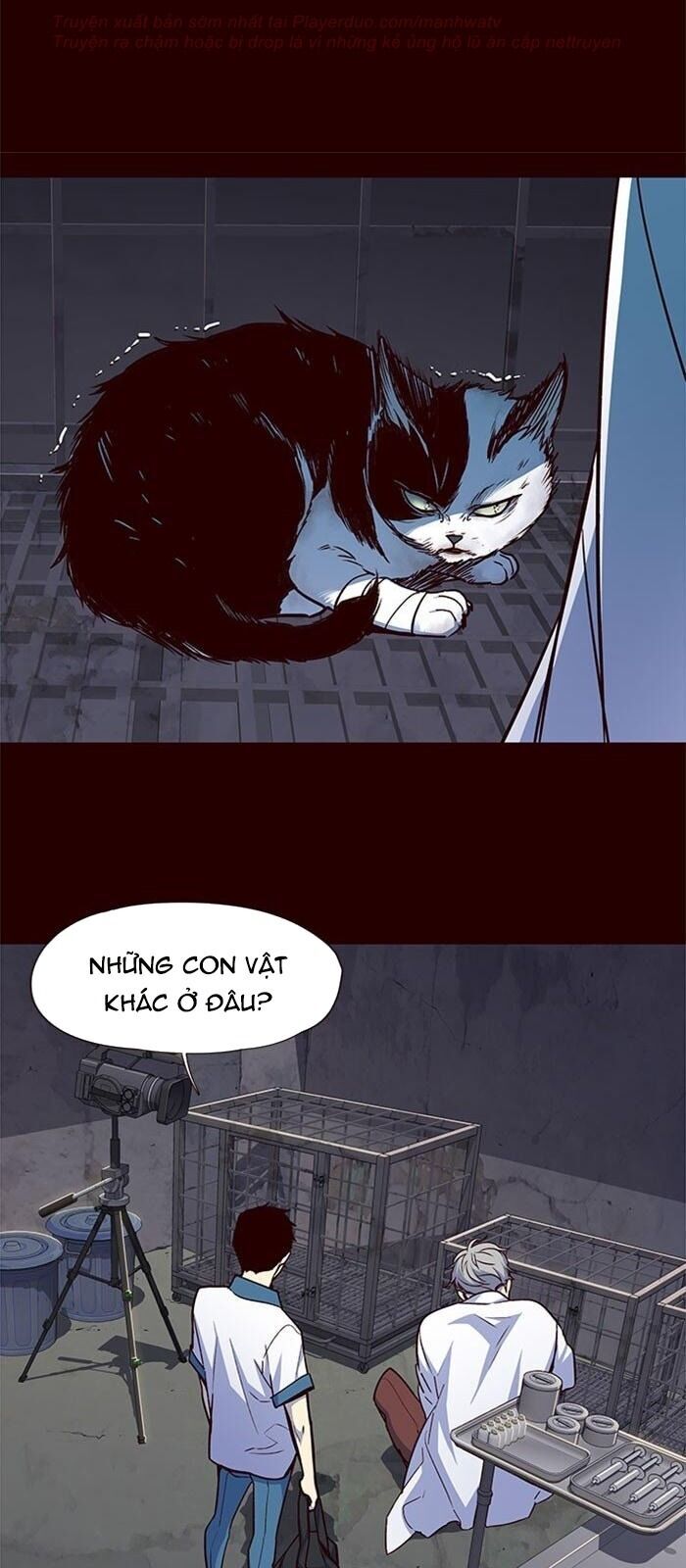 Hoá Thân Thành Mèo Chapter 36 - Trang 2