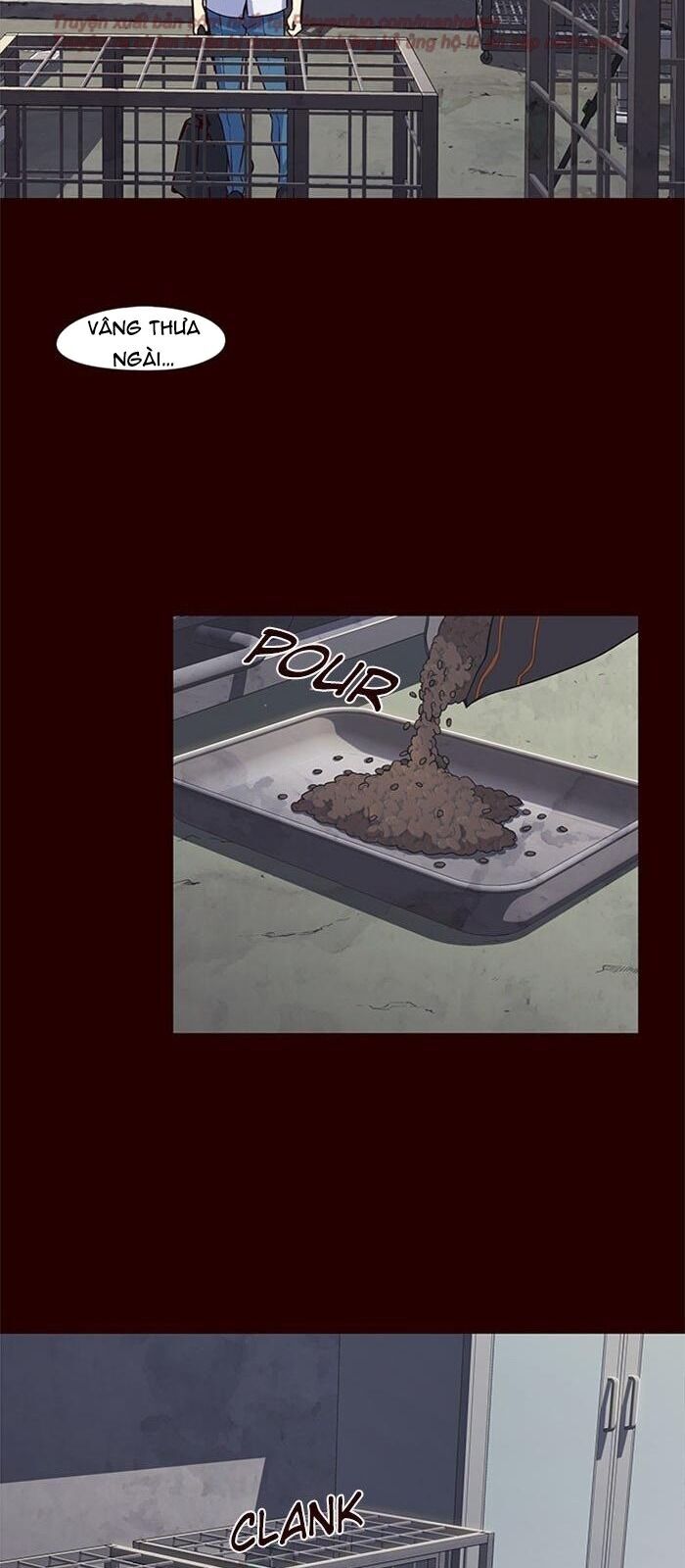 Hoá Thân Thành Mèo Chapter 36 - Trang 2