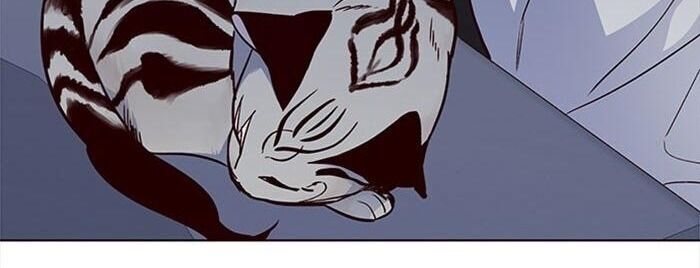 Hoá Thân Thành Mèo Chapter 36 - Trang 2