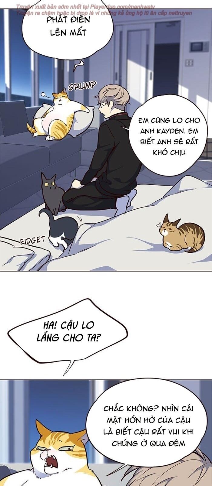 Hoá Thân Thành Mèo Chapter 36 - Trang 2