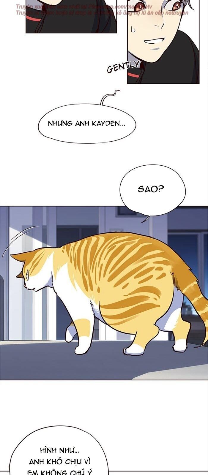 Hoá Thân Thành Mèo Chapter 36 - Trang 2