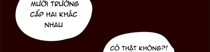 Hoá Thân Thành Mèo Chapter 36 - Trang 2