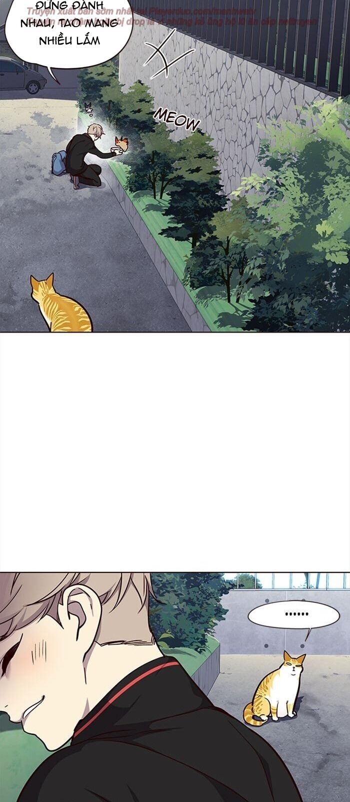 Hoá Thân Thành Mèo Chapter 36 - Trang 2