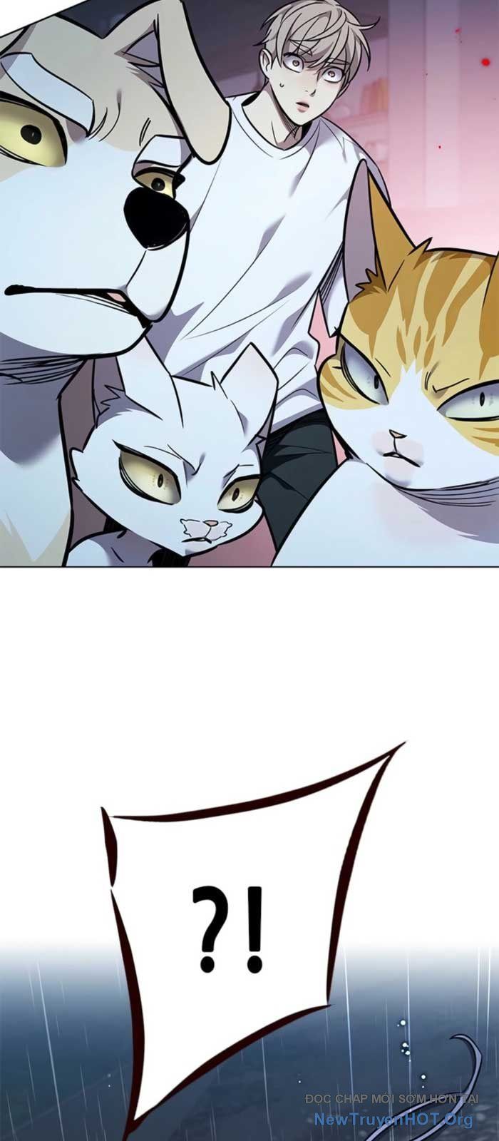 Hoá Thân Thành Mèo Chapter 369 - Trang 2