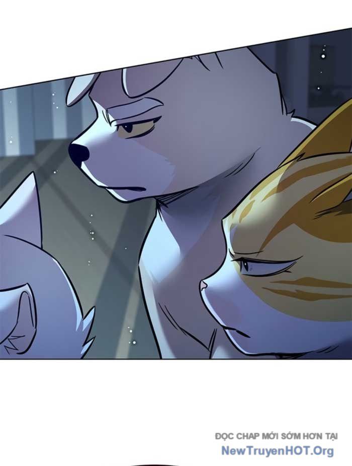 Hoá Thân Thành Mèo Chapter 369 - Trang 2
