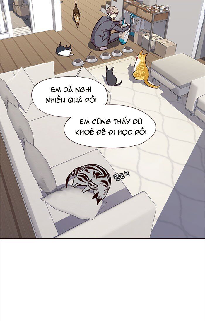 Hoá Thân Thành Mèo Chapter 37 - Trang 2