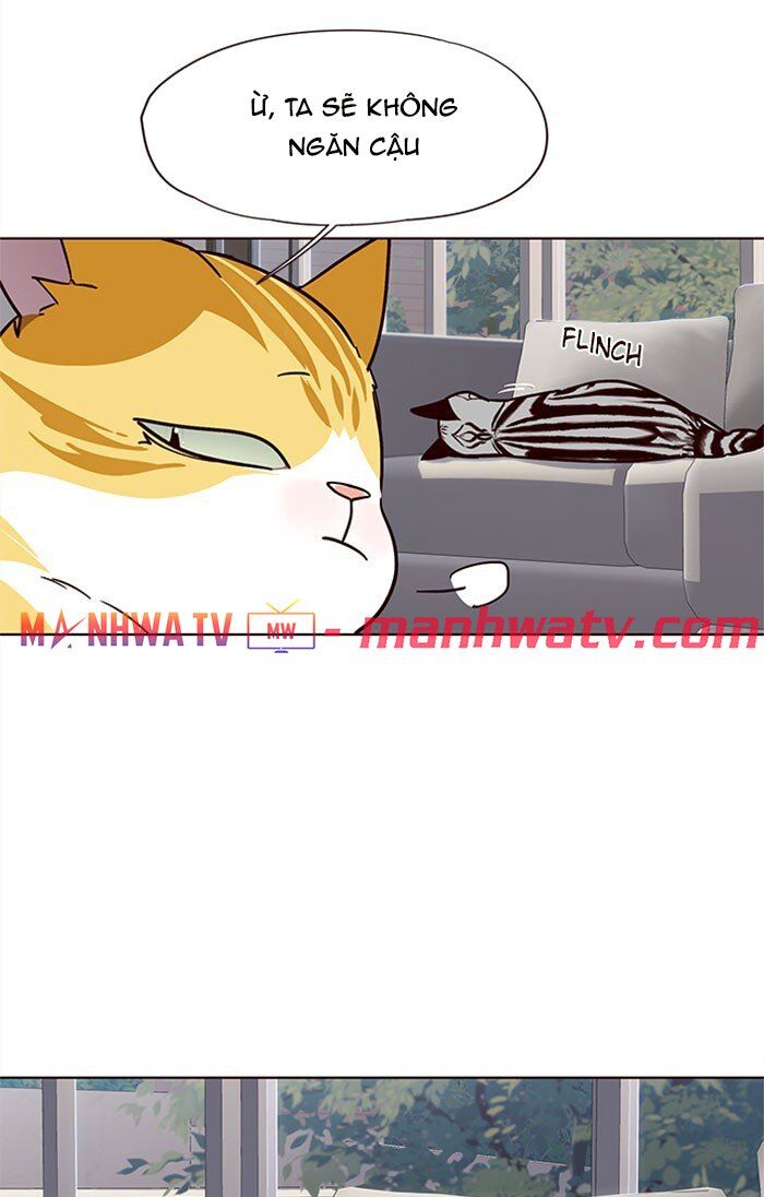 Hoá Thân Thành Mèo Chapter 37 - Trang 2