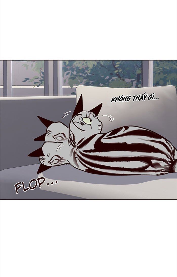 Hoá Thân Thành Mèo Chapter 37 - Trang 2