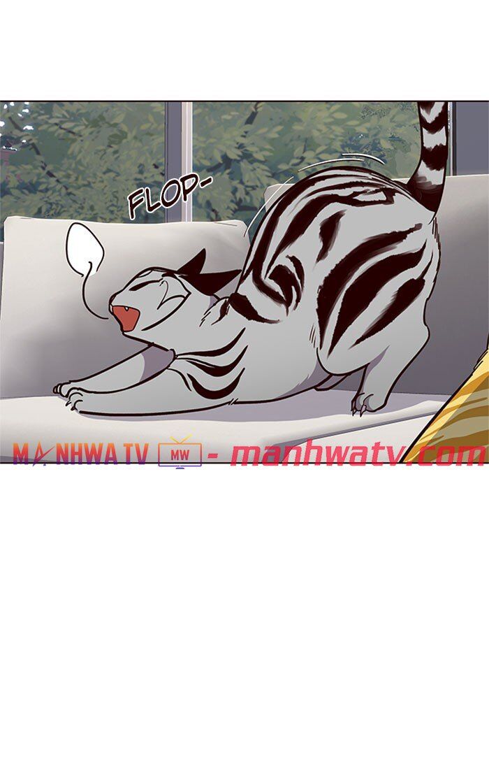 Hoá Thân Thành Mèo Chapter 37 - Trang 2