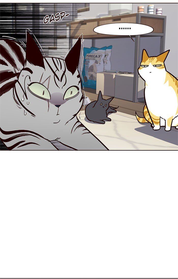 Hoá Thân Thành Mèo Chapter 37 - Trang 2
