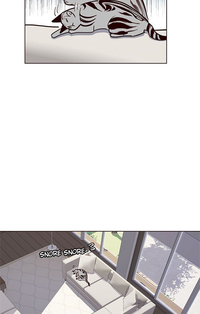 Hoá Thân Thành Mèo Chapter 37 - Trang 2