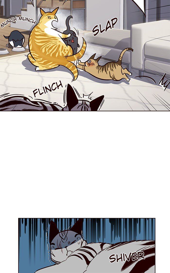 Hoá Thân Thành Mèo Chapter 37 - Trang 2