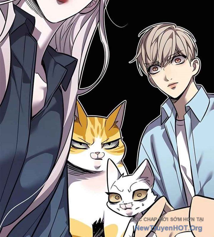 Hoá Thân Thành Mèo Chapter 370 - Trang 2
