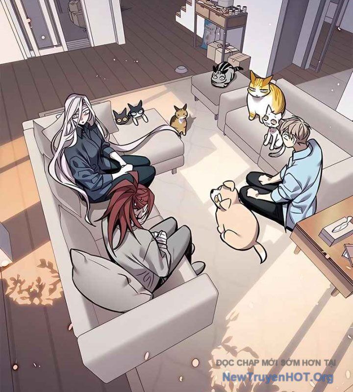 Hoá Thân Thành Mèo Chapter 370 - Trang 2