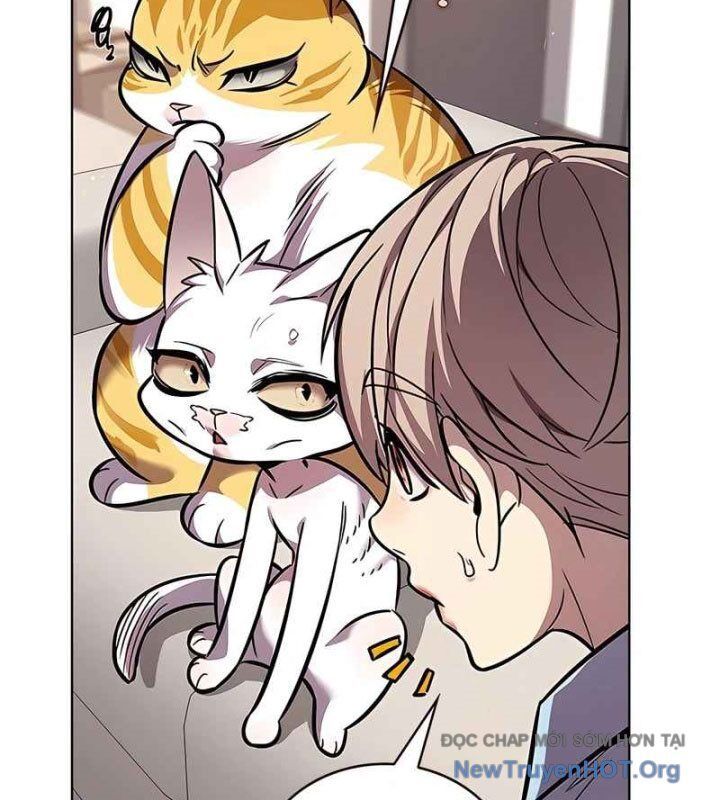 Hoá Thân Thành Mèo Chapter 370 - Trang 2