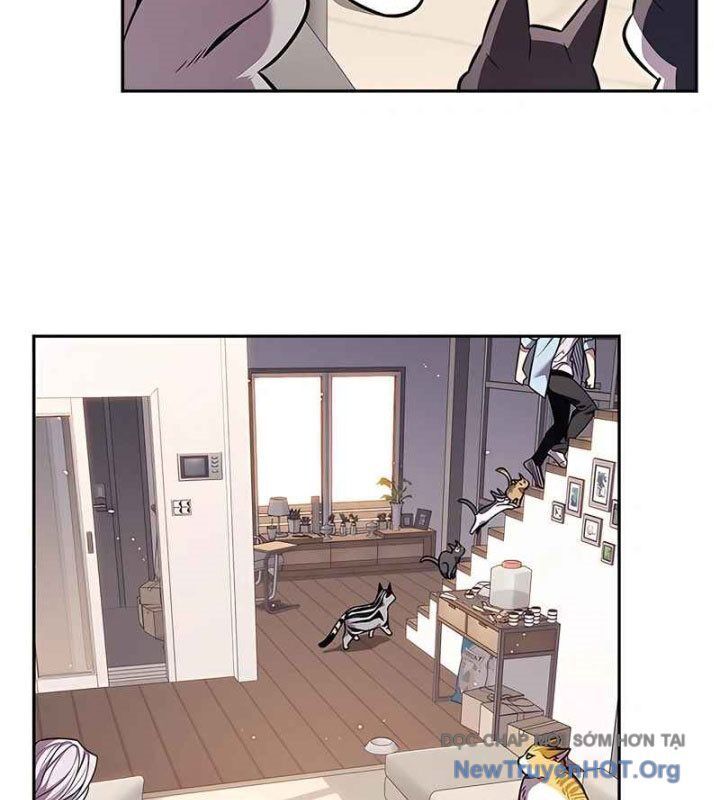Hoá Thân Thành Mèo Chapter 370 - Trang 2