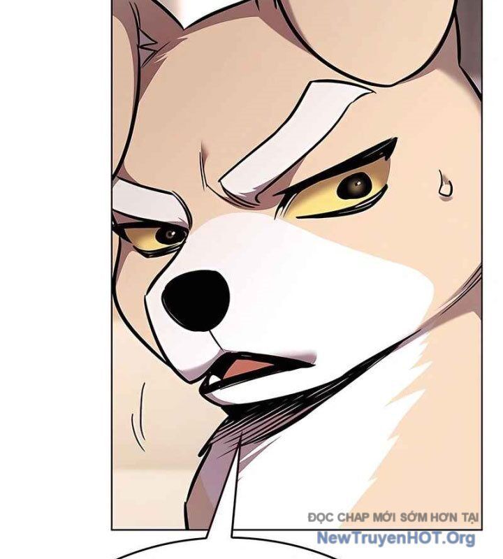 Hoá Thân Thành Mèo Chapter 370 - Trang 2