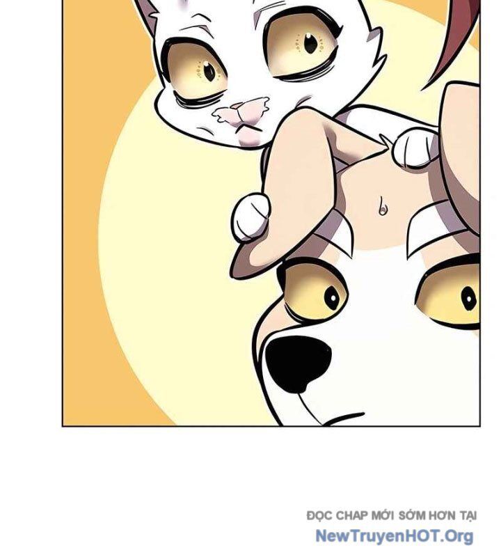 Hoá Thân Thành Mèo Chapter 370 - Trang 2