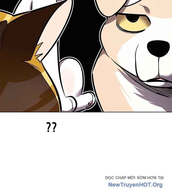 Hoá Thân Thành Mèo Chapter 370 - Trang 2