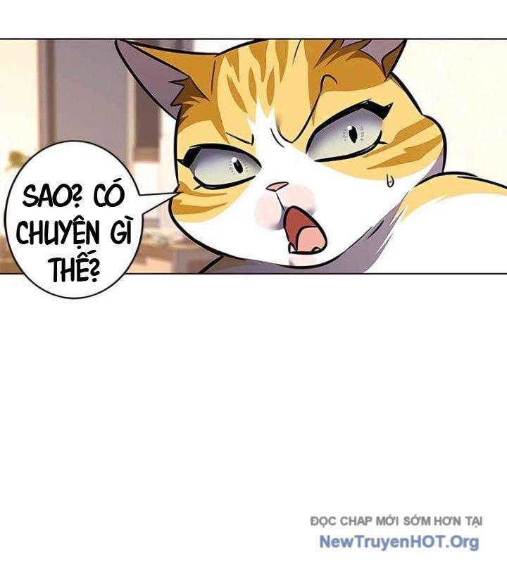 Hoá Thân Thành Mèo Chapter 370 - Trang 2