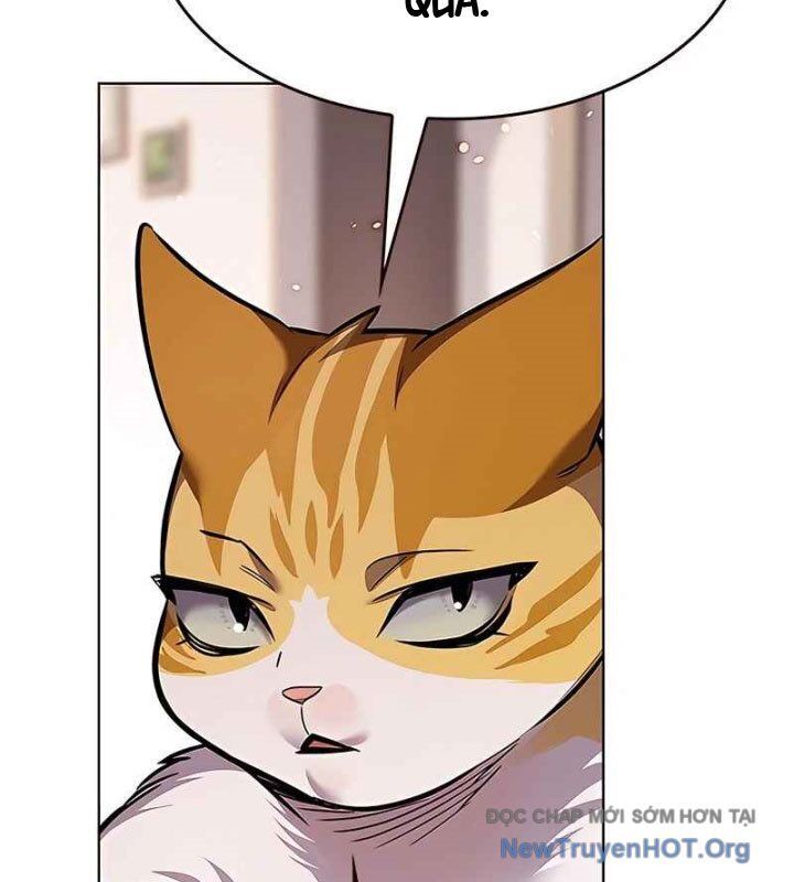 Hoá Thân Thành Mèo Chapter 370 - Trang 2