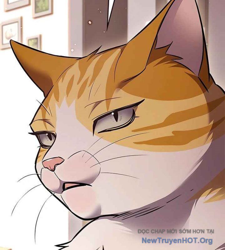 Hoá Thân Thành Mèo Chapter 370 - Trang 2
