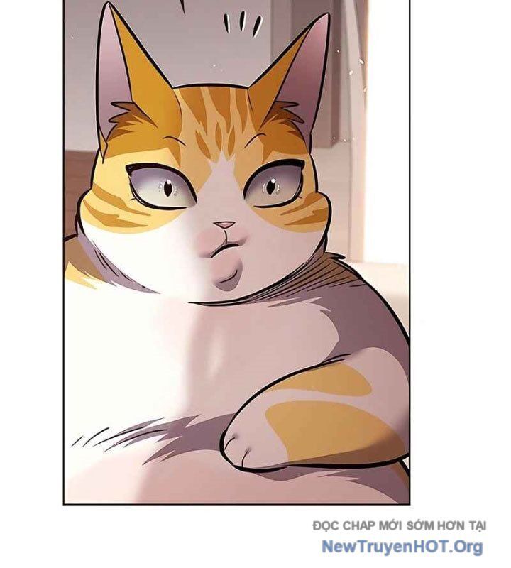 Hoá Thân Thành Mèo Chapter 370 - Trang 2