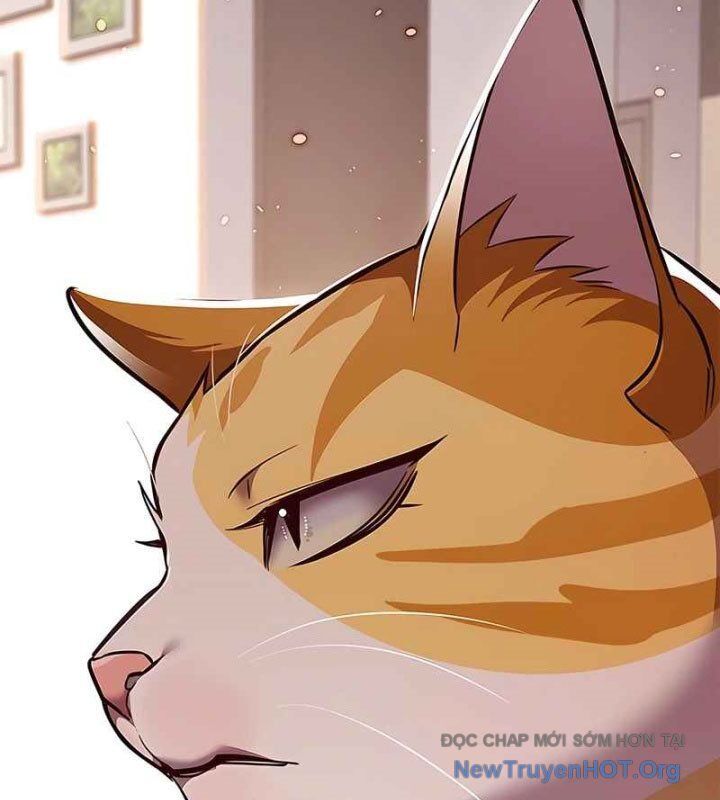 Hoá Thân Thành Mèo Chapter 370 - Trang 2