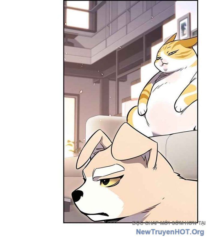 Hoá Thân Thành Mèo Chapter 370 - Trang 2