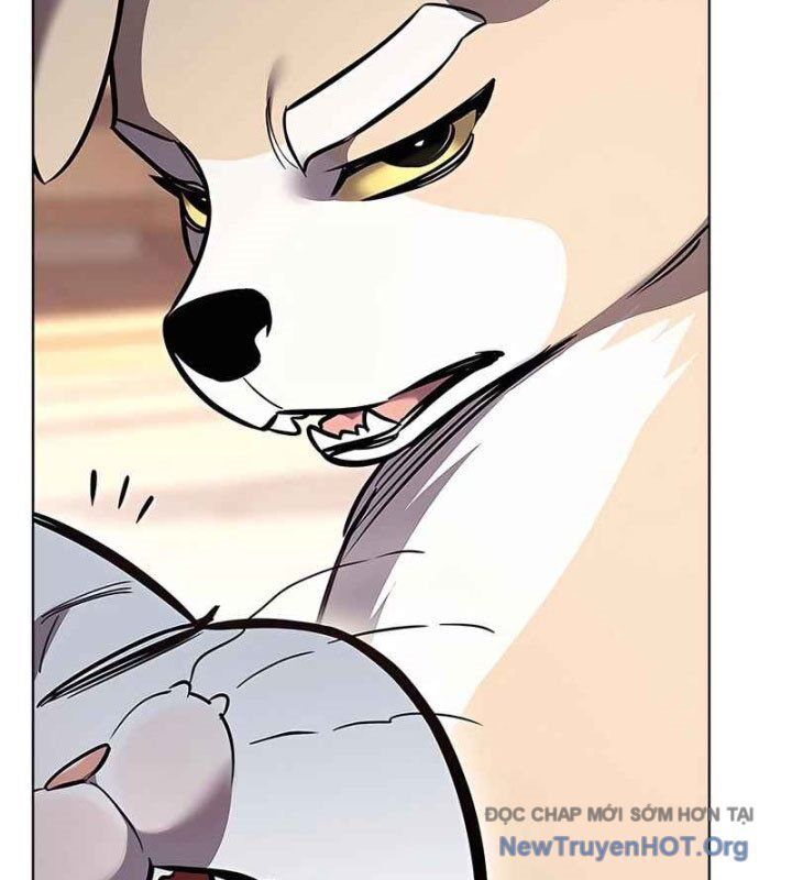 Hoá Thân Thành Mèo Chapter 370 - Trang 2