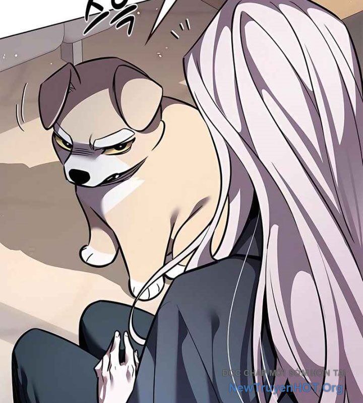 Hoá Thân Thành Mèo Chapter 370 - Trang 2