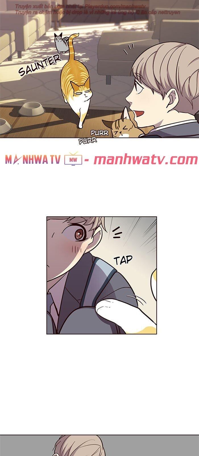 Hoá Thân Thành Mèo Chapter 38 - Trang 2