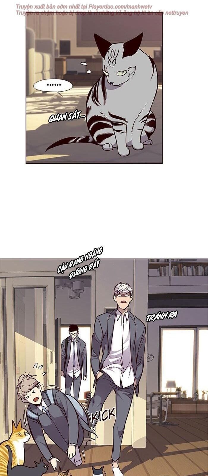 Hoá Thân Thành Mèo Chapter 38 - Trang 2