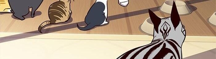 Hoá Thân Thành Mèo Chapter 38 - Trang 2