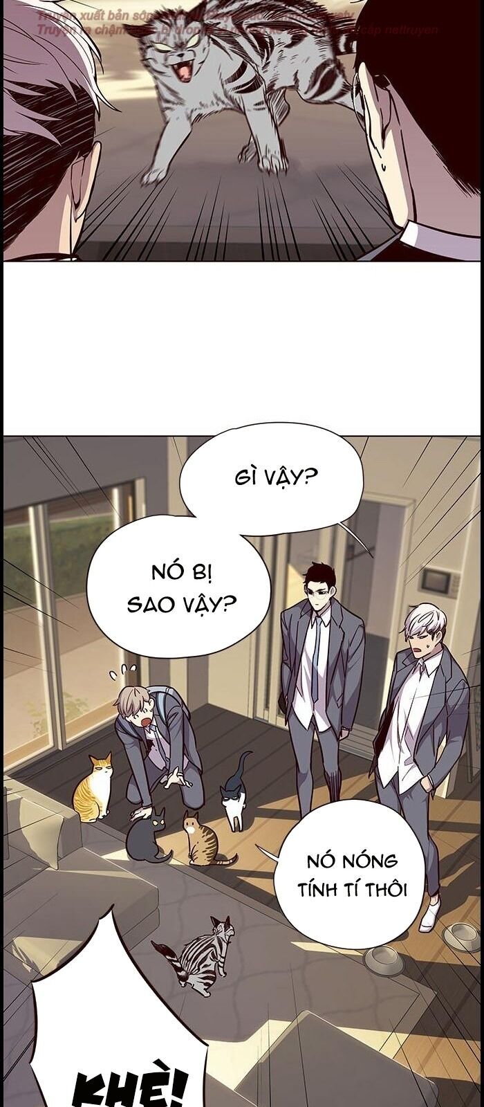 Hoá Thân Thành Mèo Chapter 38 - Trang 2