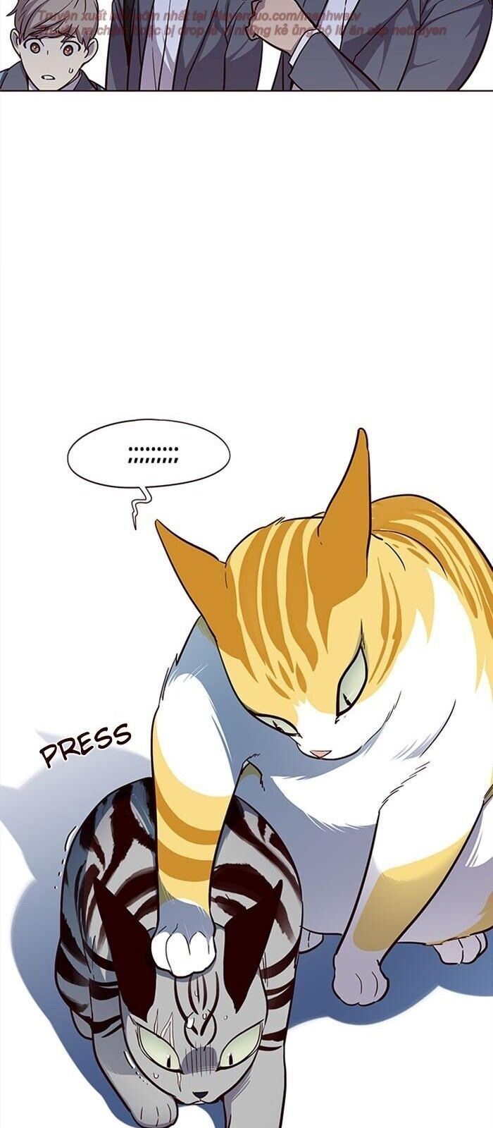 Hoá Thân Thành Mèo Chapter 38 - Trang 2