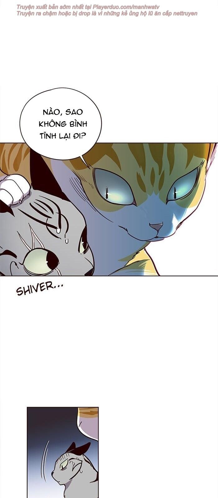 Hoá Thân Thành Mèo Chapter 38 - Trang 2