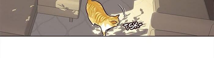 Hoá Thân Thành Mèo Chapter 38 - Trang 2