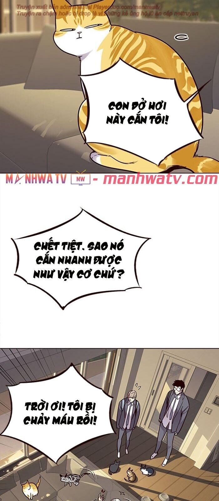 Hoá Thân Thành Mèo Chapter 38 - Trang 2