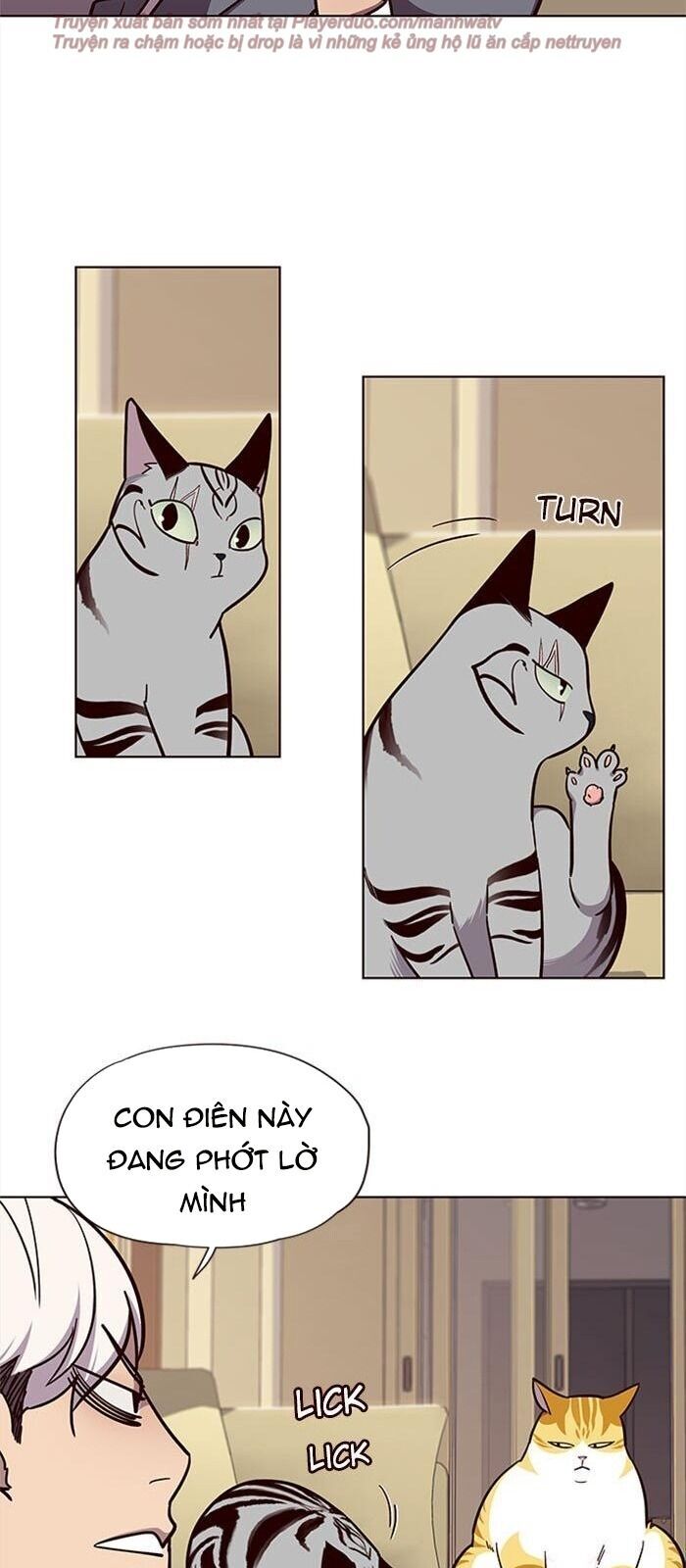 Hoá Thân Thành Mèo Chapter 38 - Trang 2