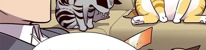 Hoá Thân Thành Mèo Chapter 38 - Trang 2