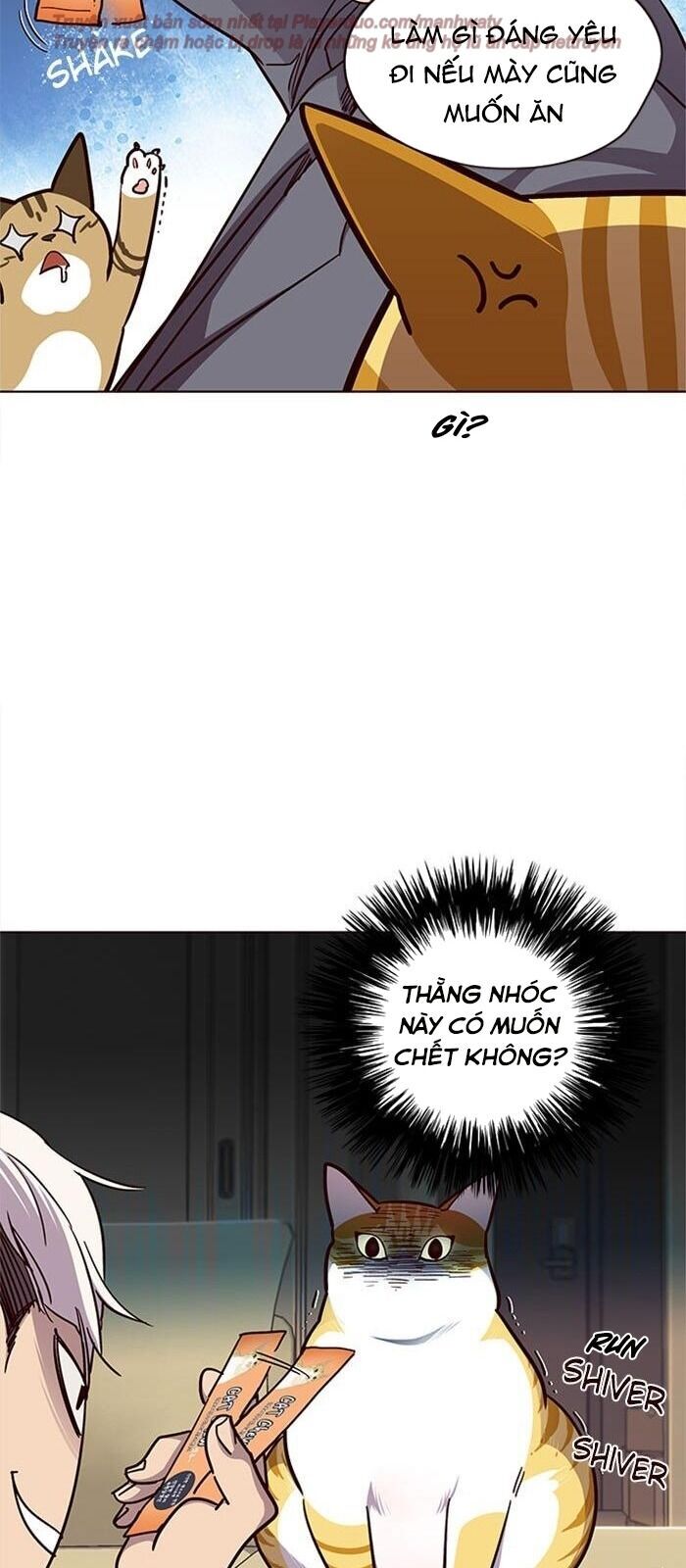 Hoá Thân Thành Mèo Chapter 38 - Trang 2